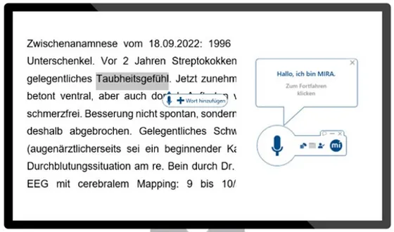 Screenshot Mira (MediaInterface GmbH)